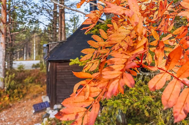 Vakantiehuis Uuttuniemi