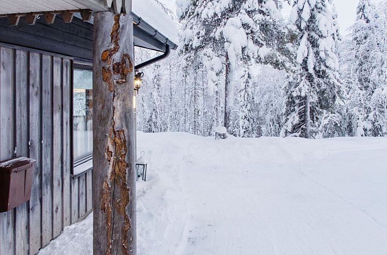 Vakantiehuis Mustalampi 3 lintukoto