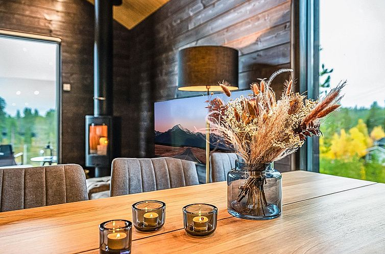 Vakantiehuis Villa voimapolku 9 a 2