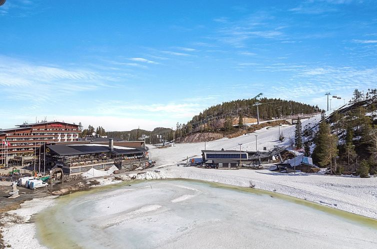 Vakantiehuis Casa krogerus ruka