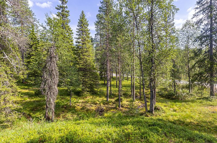 Vakantiehuis Rukan rusti