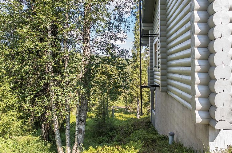Vakantiehuis Rinnetupa