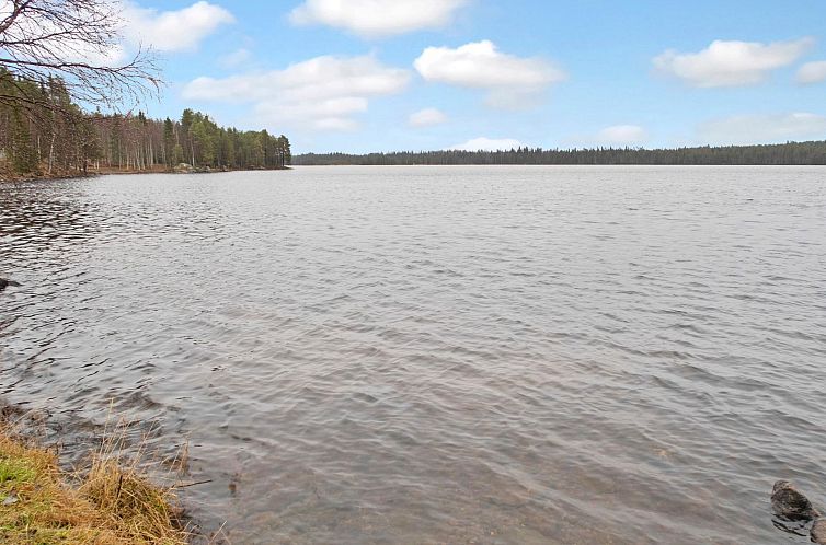 Vakantiehuis Pesäkolo