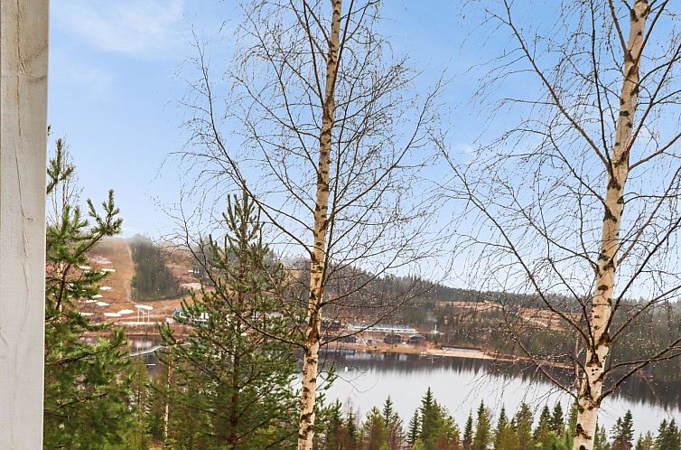 Vakantiehuis Aurinkoalppi 10a paritalo