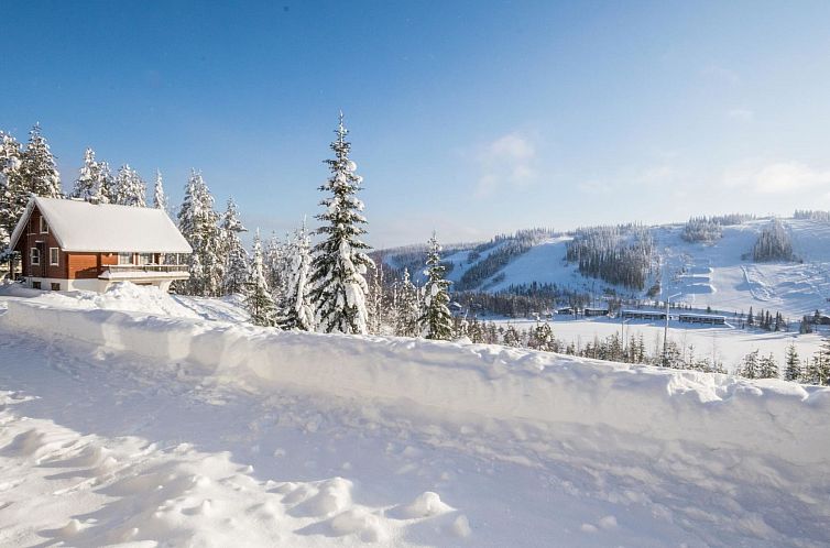 Vakantiehuis Alppikylä 1b paritalo