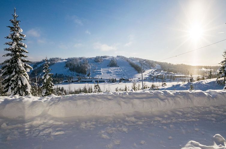 Vakantiehuis Alppikylä 1b paritalo