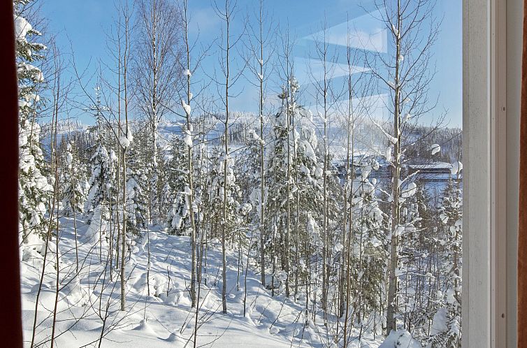 Vakantiehuis Hallan paroni b paritalo