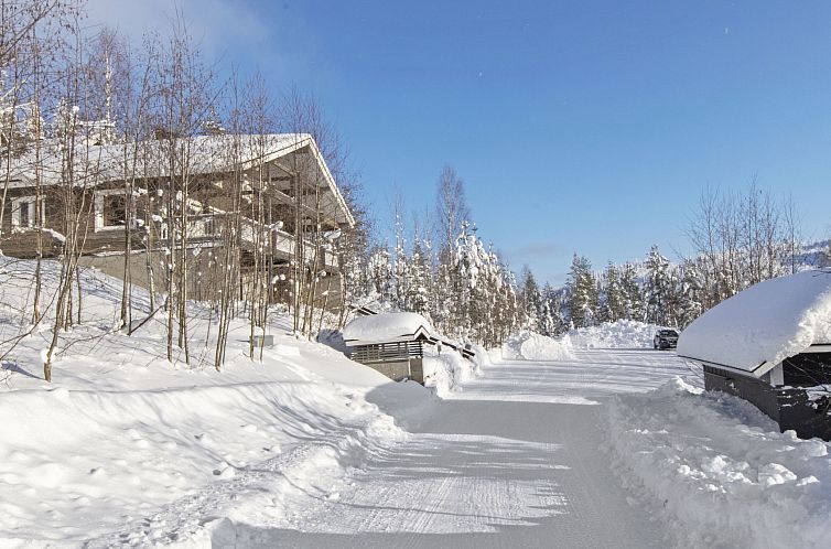 Vakantiehuis Hallan paroni b paritalo
