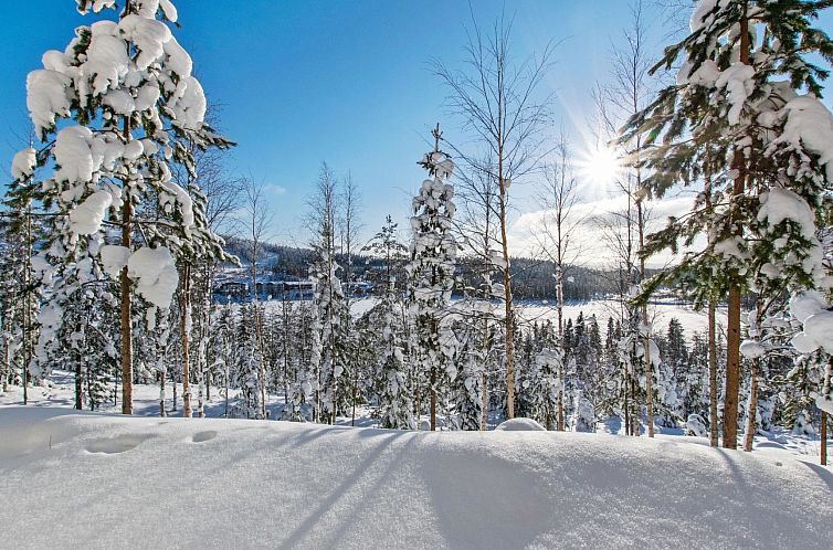 Vakantiehuis Alppikylä 13b paritalo