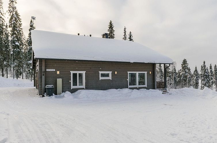 Vakantiehuis Vihtarinne b paritalo