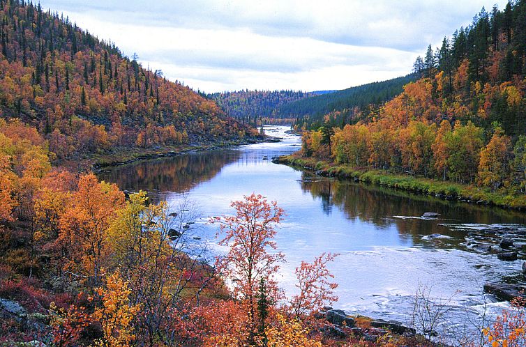 Vakantiehuis Herkkola