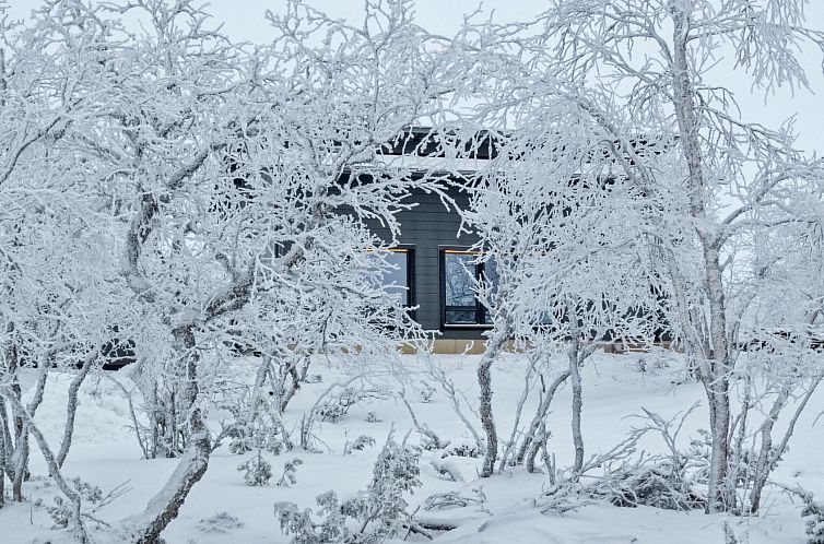 Vakantiehuis Villa viima