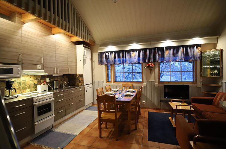 Vakantiehuis Tunturikoivu b1