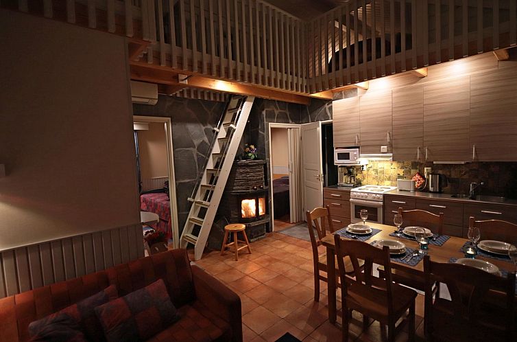 Vakantiehuis Tunturikoivu b1