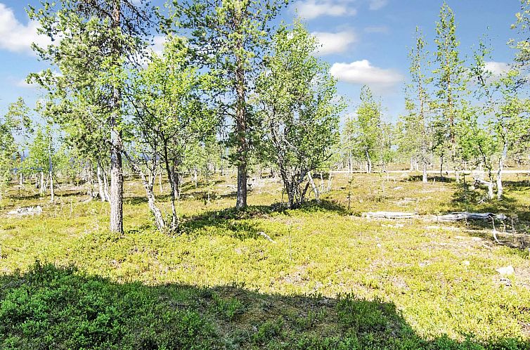 Vakantiehuis Tunturikoivu b1