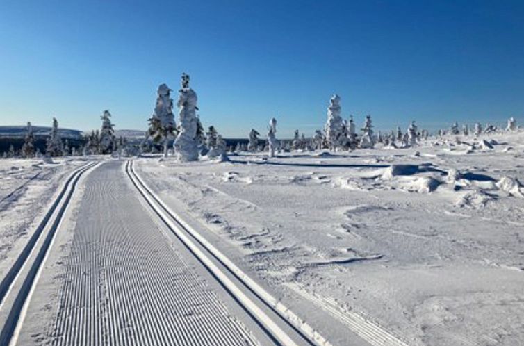 Vakantiehuis Vuolkuma c
