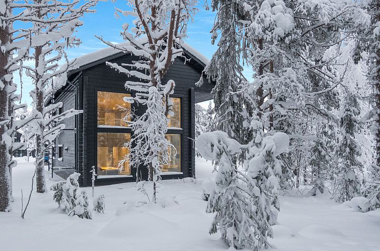 Vakantiehuis Levin hiihtäjä