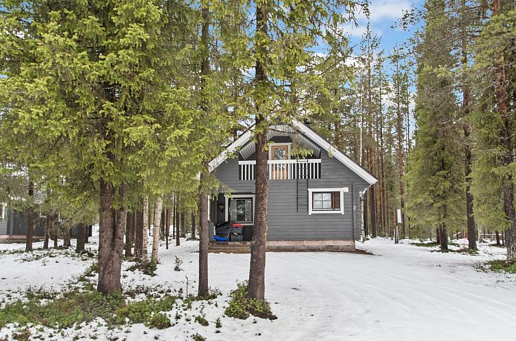 Vakantiehuis Kaltiotievantie 2 mökki 2