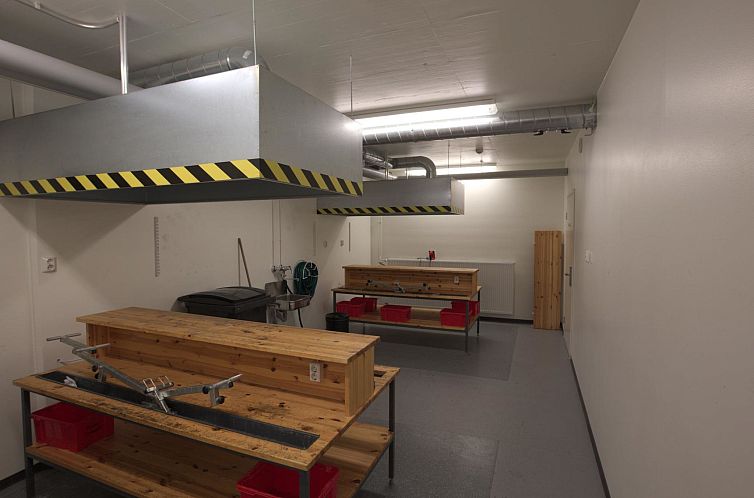 Vakantiehuis Nordic chalet 9208