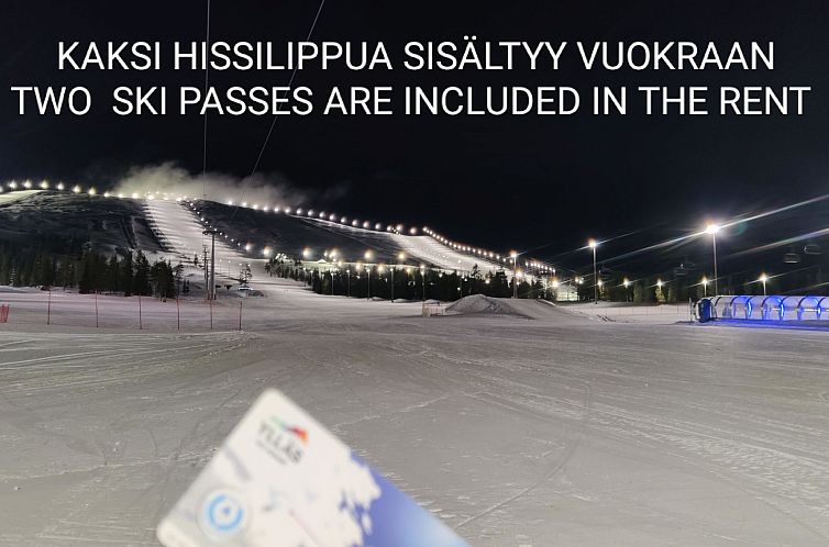 Vakantiehuis Nordic chalet 9102