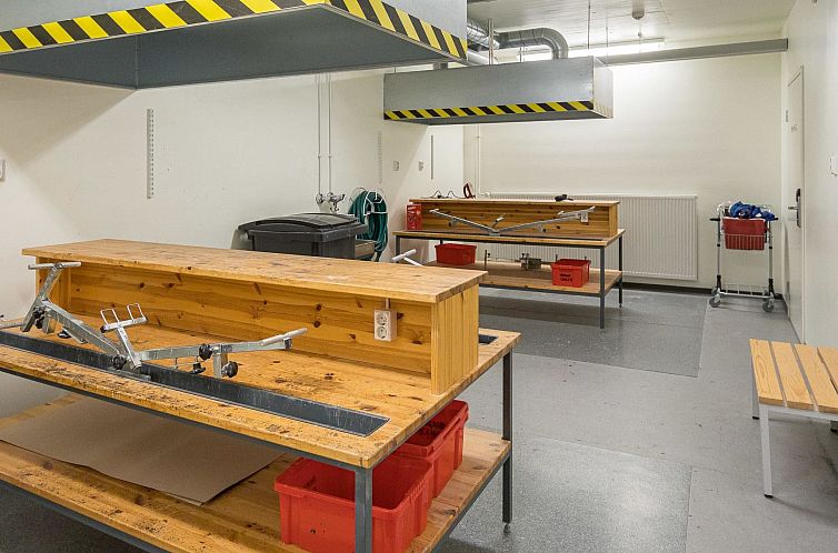 Vakantiehuis Nordic chalet 9102