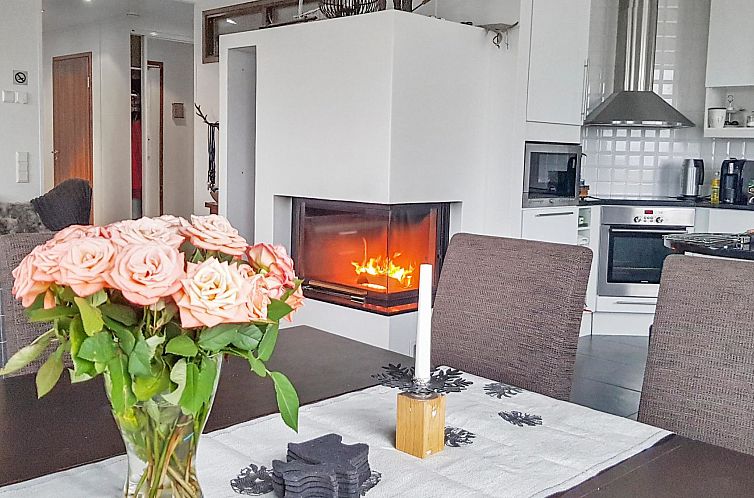 Vakantiehuis Villa ylläs 203