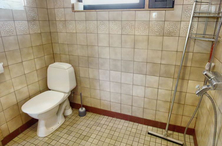 Vakantiehuis Hankisääski