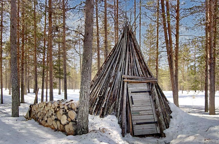 Vakantiehuis Hankisääski