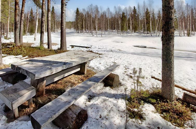 Vakantiehuis Hankisääski