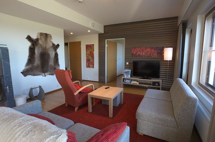 Vakantiehuis Nordic chalet 9106