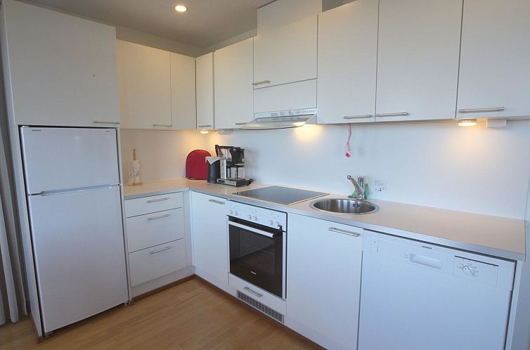 Vakantiehuis Nordic chalet 9106