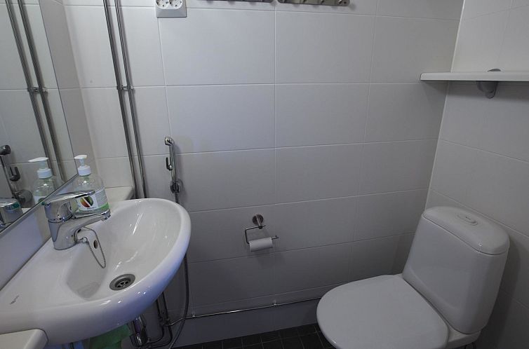 Vakantiehuis Nordic chalet 9106
