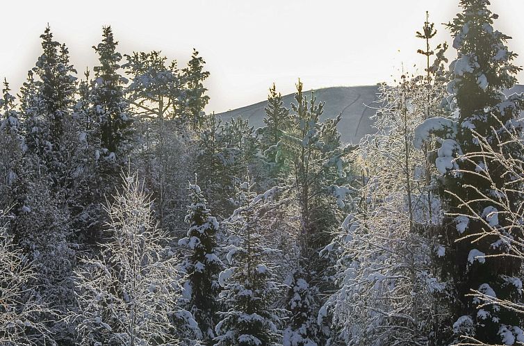 Vakantiehuis Lapland happiness / skistar 201