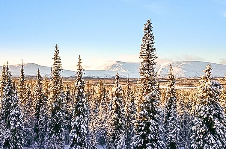 Vakantiehuis Pallaksen valkkorinne