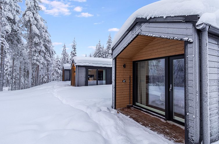 Vakantiehuis Visit pyhä cabins h