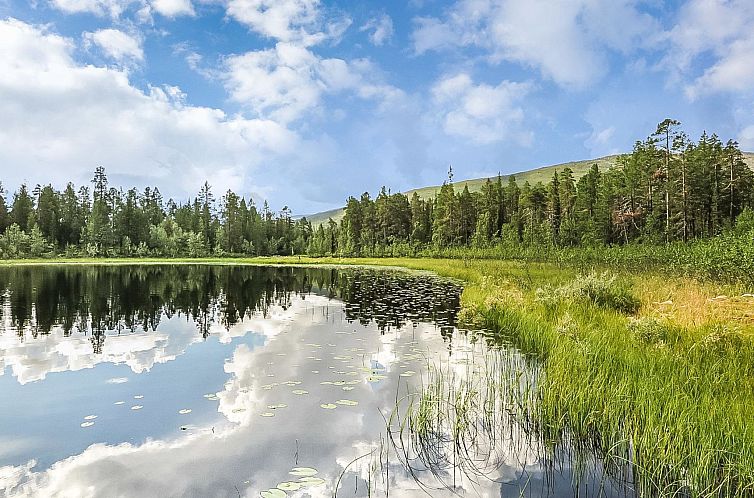 Vakantiehuis Ruska