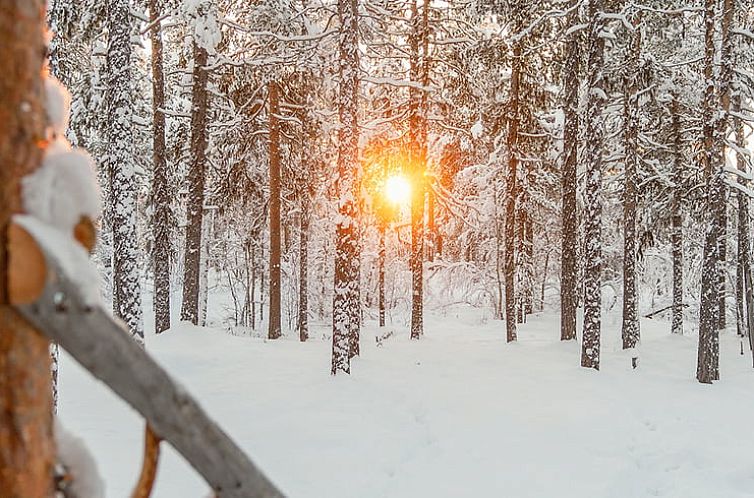 Vakantiehuisje in Kätkäsuvanto