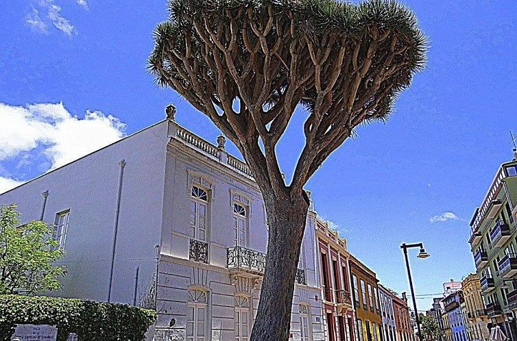Apartamento La Higuera