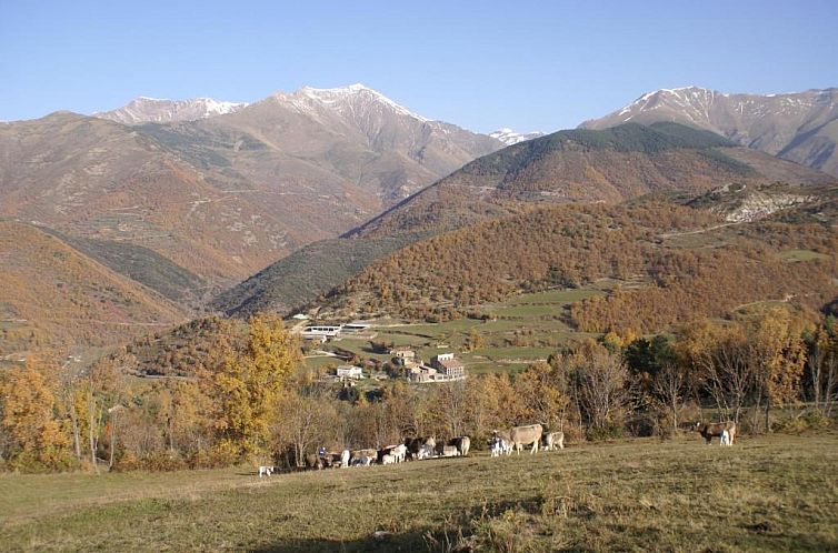 Casa Masover