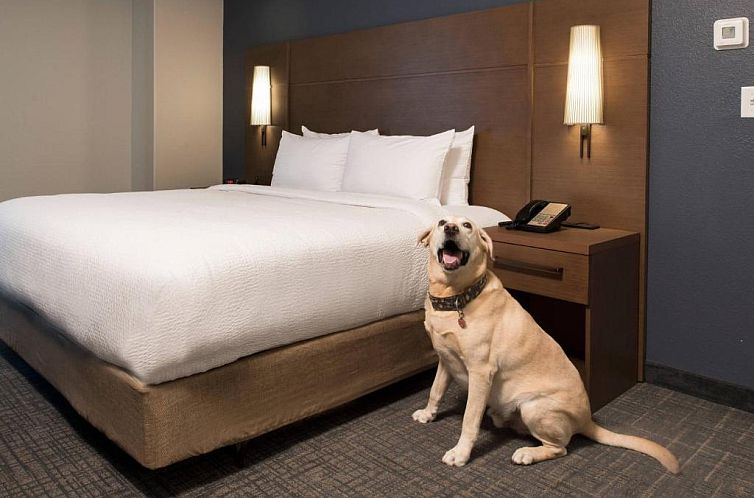 Residence Inn Memphis Downtown
