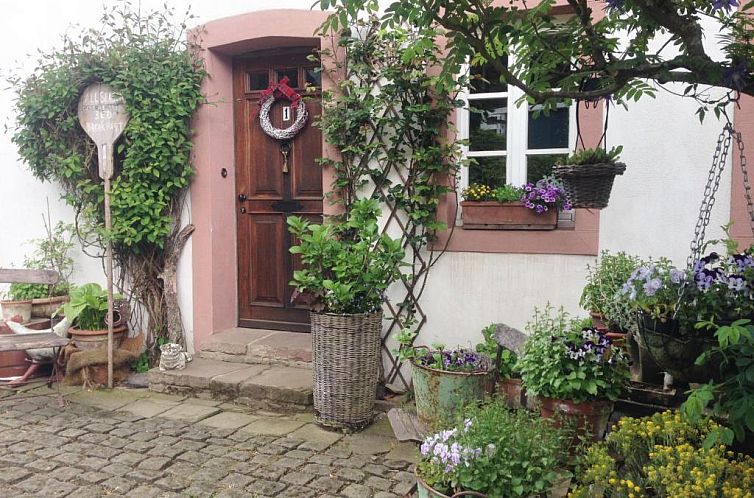 All Seasons Bed & Breakfast