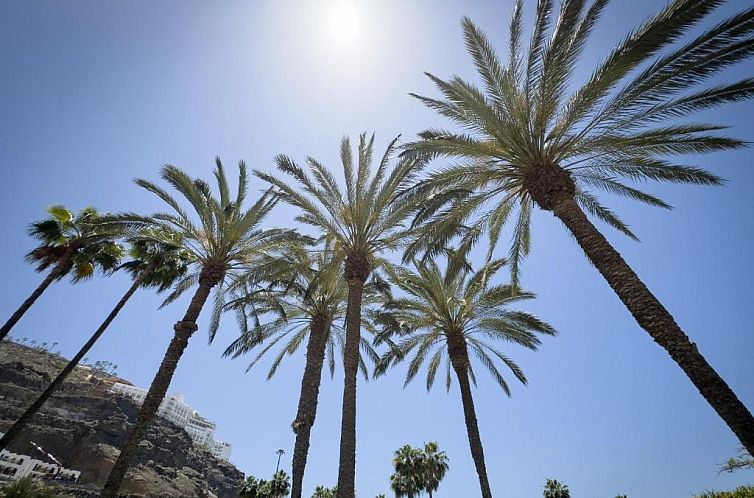 Holiday Club Playa Amadores