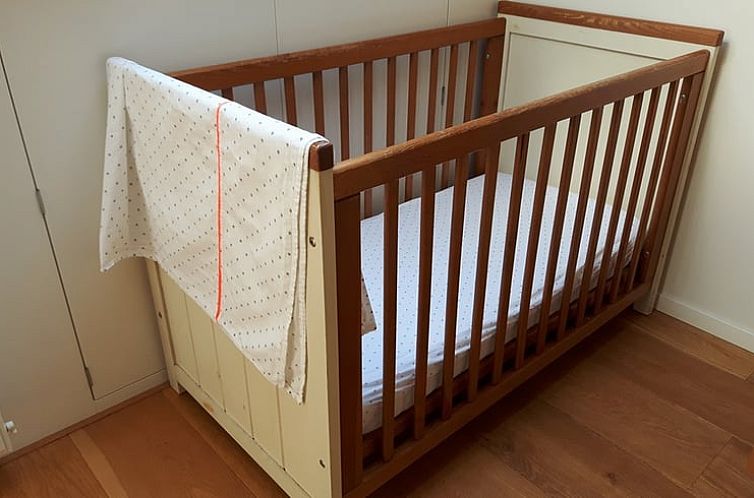 Vakantiehuisje in Oudemirdum