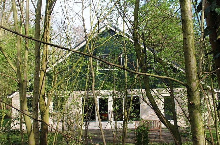 Vacation cottage in Oudemirdum surrounded by Frisian forests, perfect for nature lovers in Friesland.