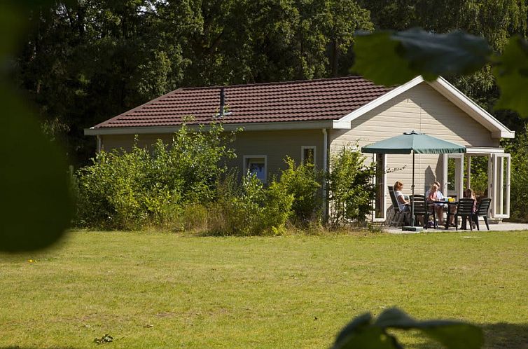 Enjoy the sun on the terrace of Chalet de Grenspoel in Appelscha, located in the Frisian woods, Friesland.