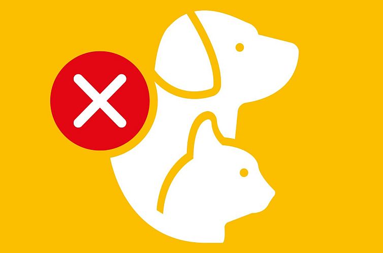 Kampeerchalet de Klapekster