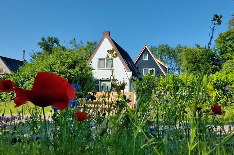 Vakantiehuisje in Ruigahuizen