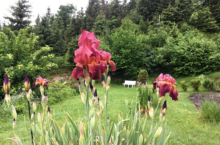 Bäckeralm© - B&B 16 +