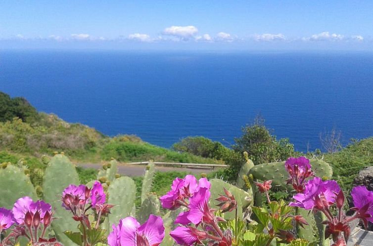 Finca El Lance