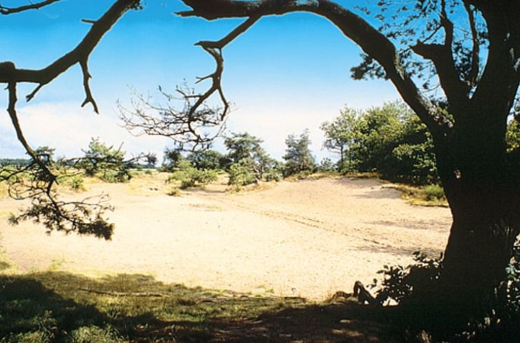 Vakantiehuisje in Langedijke